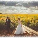 필연합의원 이미지