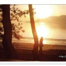 월송민박 이미지