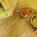 유니포리 이미지