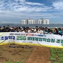 클로버 태양광발전소 이미지