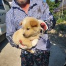 청림동물병원 이미지