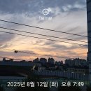 조항일동물병원 | 제왕절개 5박6일 입원 여정(청화병원 이것저것,첫째 자연분만 둘째셋째 제왕절개 출산 장단점)