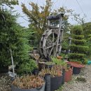 바위섬소도 이미지