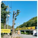양평해장국(범서점) | 울산 근방에서 든든한 한끼를 채워준 일품양평해장국 울산범서점