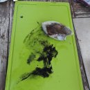 연안부두길 | 바낙스 티젠 코이카와 함께한 신진도 배낚시 추천 루디피싱 루디호 이용후기