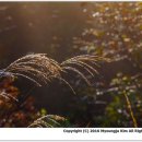 방태산 가는 길 이미지