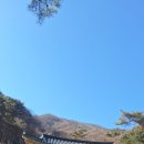 팔성사 - 1243 | 팔성사