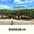 창녕우포곤충나라 | 대구 근교 실내 아이랑 가볼만한 곳, 창녕우포곤충나라 후기