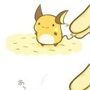 루나빠 이미지