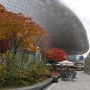 오타르DDP점 | [딜리코 설치후기]서울 동대문디자인플라자 DDP 디저트 카페 오타르 전자동커피머신 설치