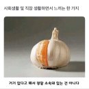 튀김나라 이미지