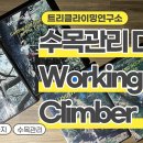 수목관리 이미지