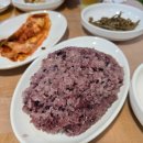 대전 장대동 맛집 온양닭도리탕 닭백숙 후기 (육계, 토종닭, 산닭 차이)