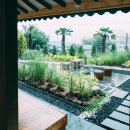 스테이 고요 이미지