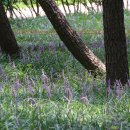 삼호교 화장실 이미지