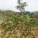 한길농원 이미지