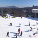 엘리시안 강촌 스키장 이미지