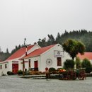 기선목장 이미지