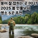 배다리낚시터 | 2025 봄 민물낚시 핫플레이스 TOP5｜4월 지금 고기 잘 나오는 곳
