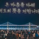 와이즈드론