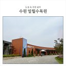 [경기도 수원 자연명소] 도심 속 자연 쉼터, 일월 수목원①-입장료·주차·카페·체험공간