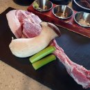 심쿵돼지 이미지