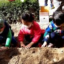 나무와열매어린이집 이미지