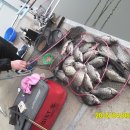 고초골낚시터 이미지