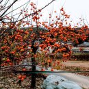 죽산경로당 이미지