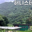 허니스테이 이미지