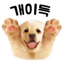 뽀송펫 이미지