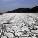 신정리(더리미) 이미지