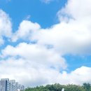 107차 정기트레킹 부산시민공원 ~화지산 2025.10.19.일요일 이미지