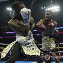 J World boxing 이미지