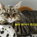 내몸에맞는옷 이미지