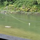 들꽃향기 펜션 이미지