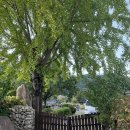 남천할머니경로당 | 사유원 근처 숙소/군위 여행 한옥숙소(촌캉스) 남천고택과 고즈넉한 한밤마을 돌담길