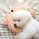 2253 쇼핑하우