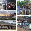 우물청과 이미지