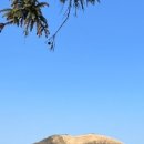 안나목장 이미지