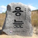 [6. 12 평일버스걷기 안내] 인제 대암산 용늪 트레킹, 야생화 탐방 신나게 즐겨요^^ 이미지