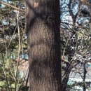 활터어린이공원 이미지