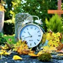 내가 주인공이다 이미지