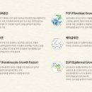 스팀데이