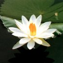 소품21 이미지