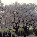 천연염색머리방 - 전주시 완산구 효동2길 9 | 천연염색머리방