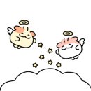 테레사 꽃집