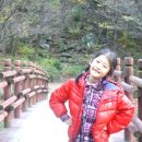 도레미캠핑장 이미지