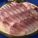 대광어횟집 이미지