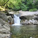 구룡서길 이미지